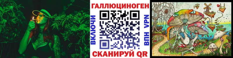 Галлюциногенные грибы GOLDEN TEACHER  Купить где  Моршанск 